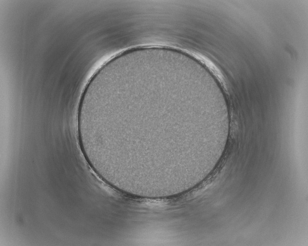 X0000115041191200912071103