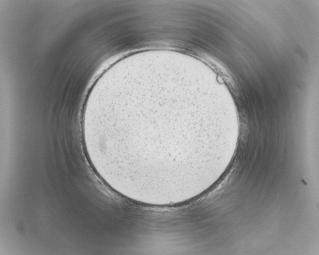 X0000115041192200912071103