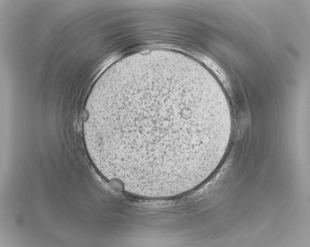 X0000115041193200912071103