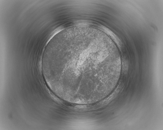 X0000115041194200912071103