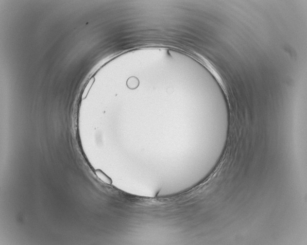 X0000115041195200912071103