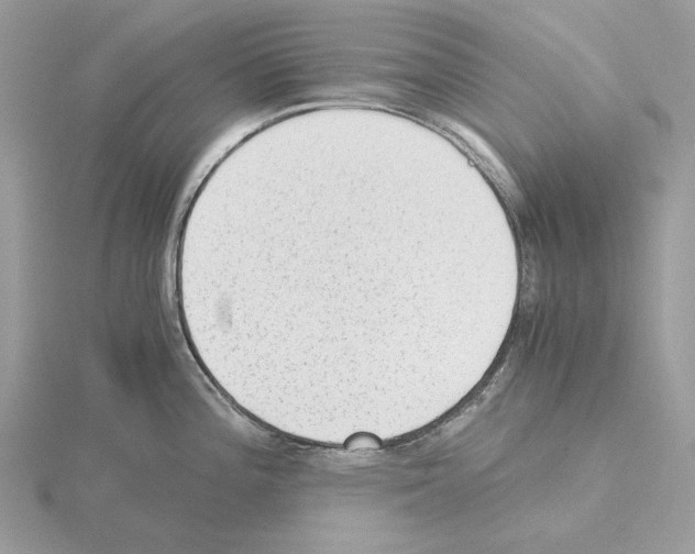 X0000115041196200912071103