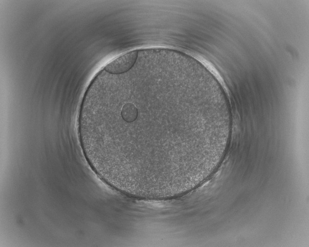 X0000115041197200912071103