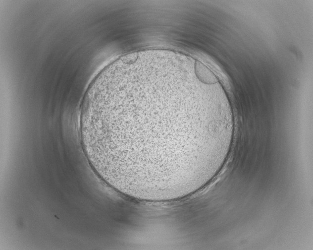 X0000115041198200912071103