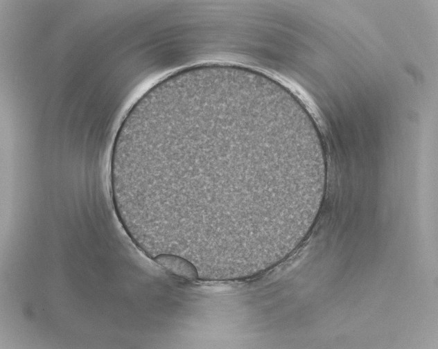 X0000115041199200912071103