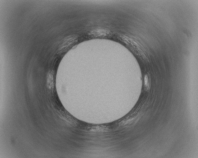 X0000115041203200912071102