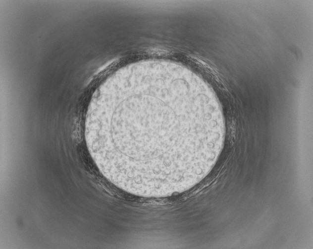 X0000115041205200912071102