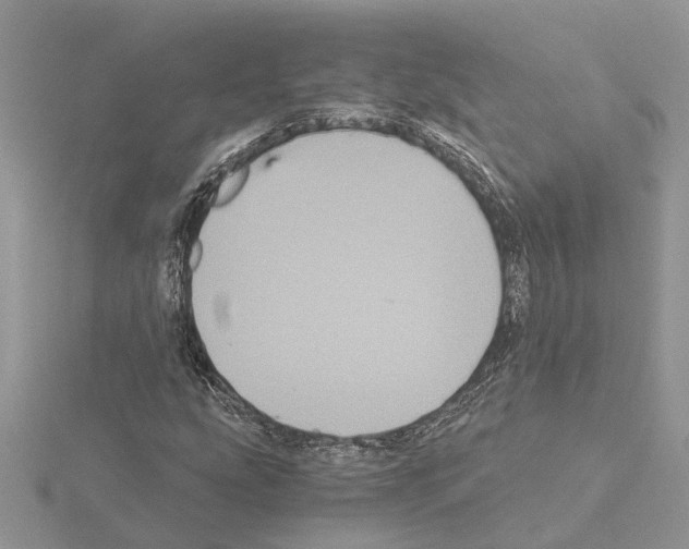 X0000115041207200912071102