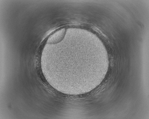 X0000115041208200912071102