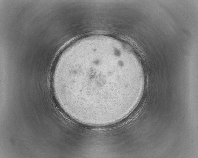 X0000115041212200912071102