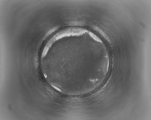 X0000115041213200912071102