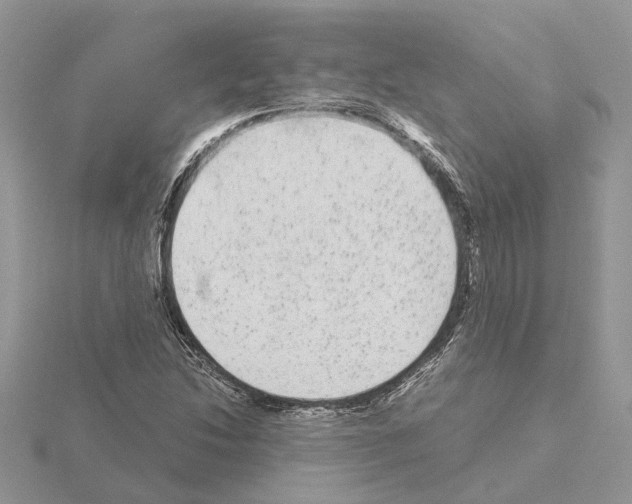 X0000115041214200912071102