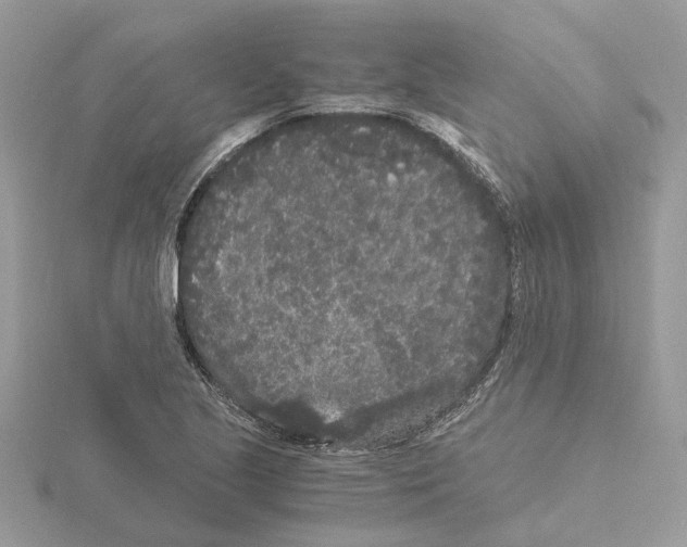 X0000115041221200912071102