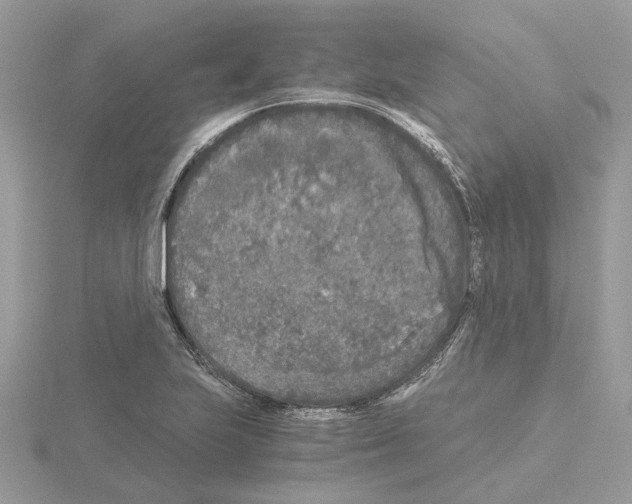 X0000115041223200912071102