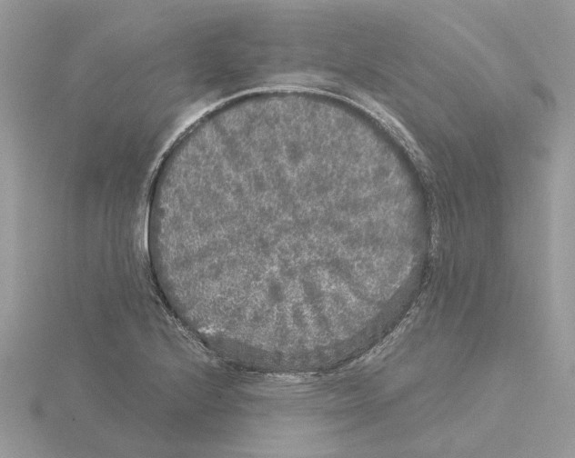 X0000115041224200912071102