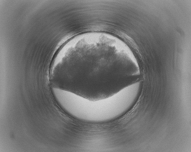 X0000115041226200912071102