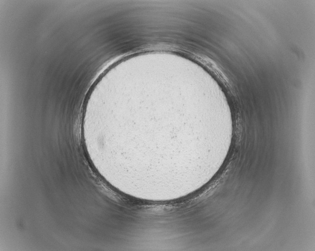 X0000115041228200912071102