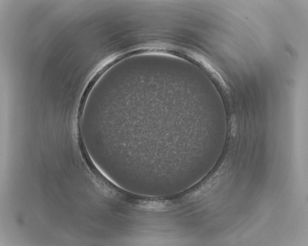 X0000115041229200912071102