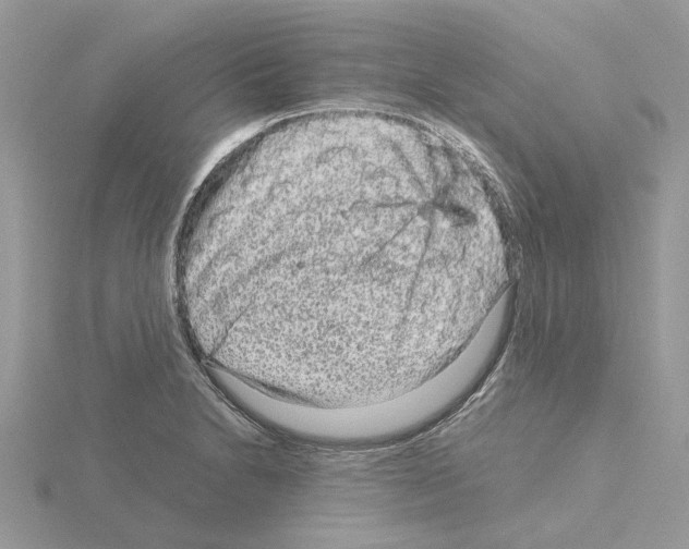 X0000115041230200912071102