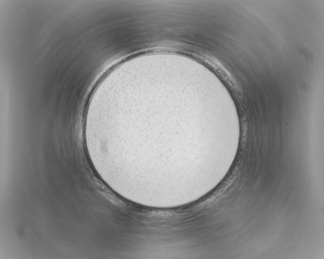 X0000115041232200912071102