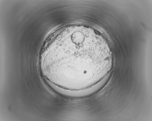 X0000115041234200912071102