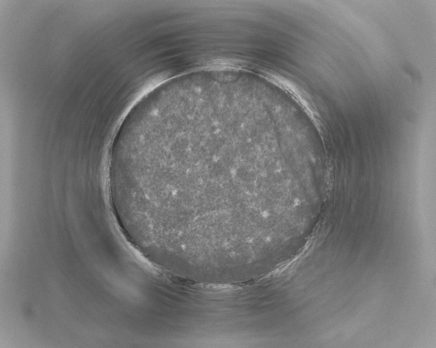 X0000115041235200912071102