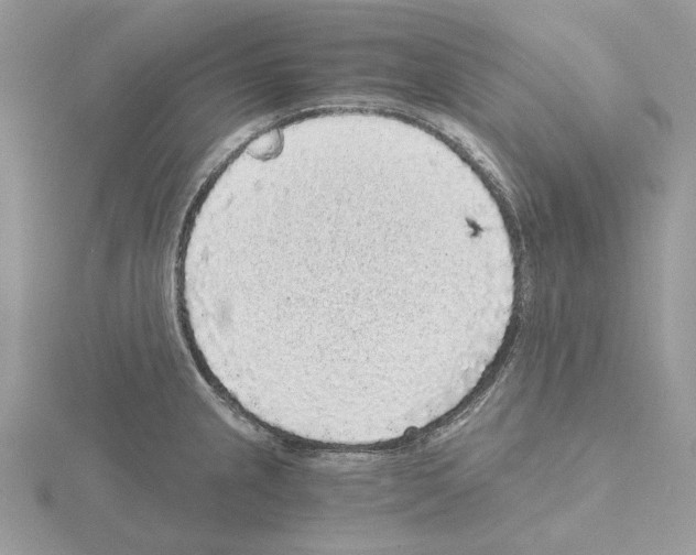 X0000115041237200912071102