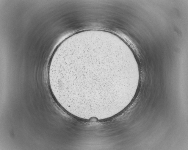 X0000115041238200912071102