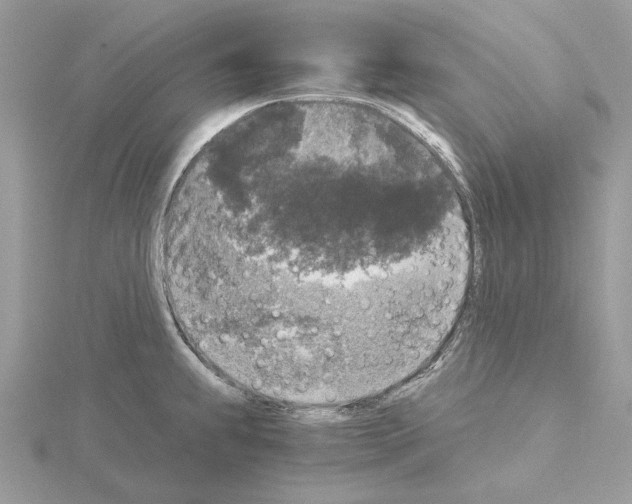 X0000115041239200912071102