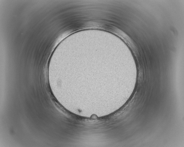 X0000115041242200912071103