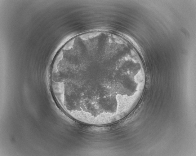 X0000115041243200912071103