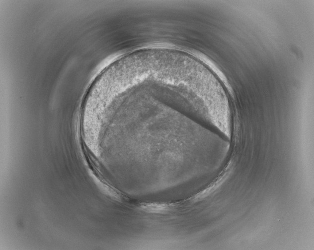 X0000115041245200912071103