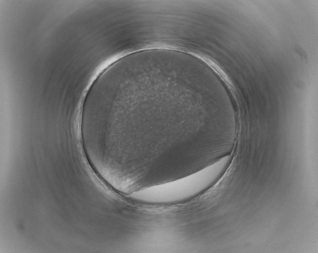 X0000115041246200912071103