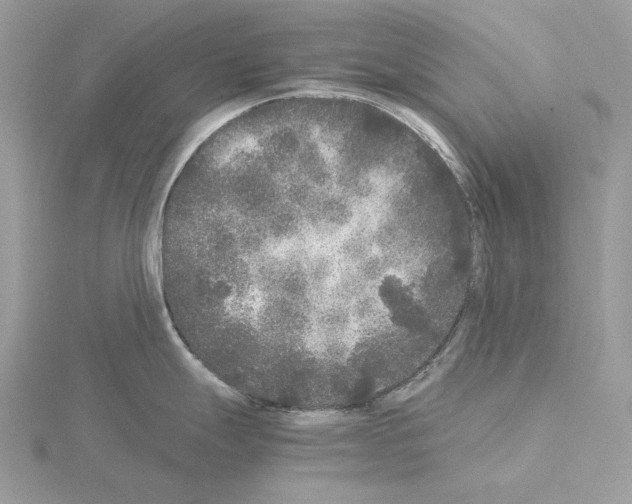 X0000115041247200912071103