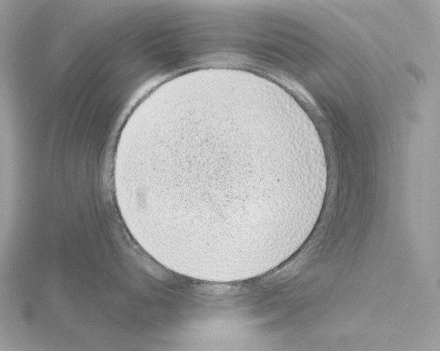 X0000115041248200912071103