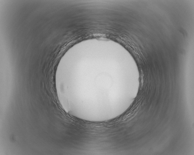 X0000115041249200912071102