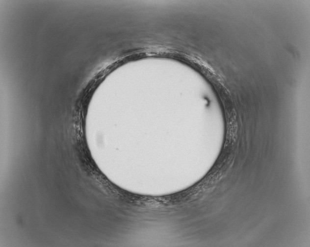 X0000115041255200912071102