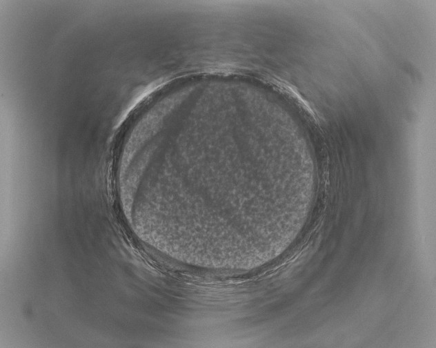 X0000115041256200912071102