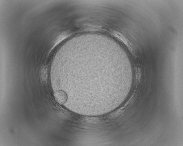 X0000115041258200912071102