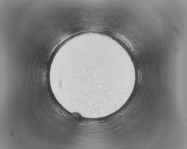 X0000115041260200912071102