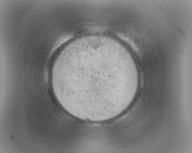 X0000115041261200912071102