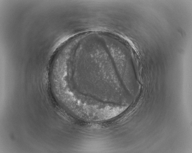 X0000115041263200912071102