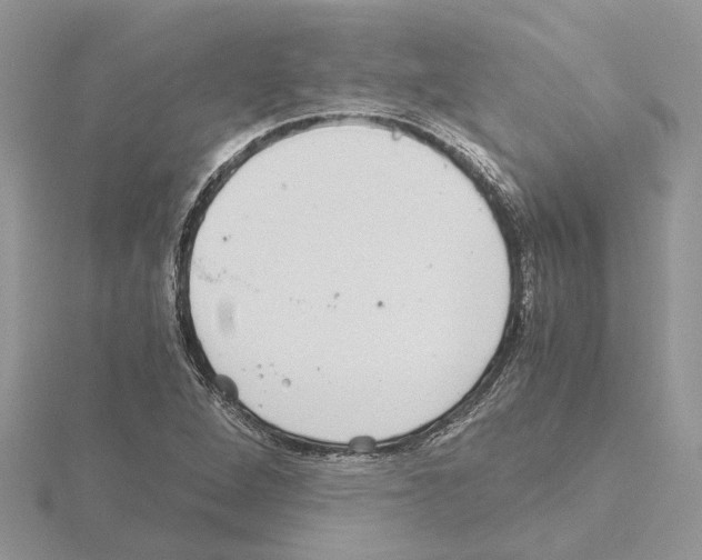 X0000115041264200912071102