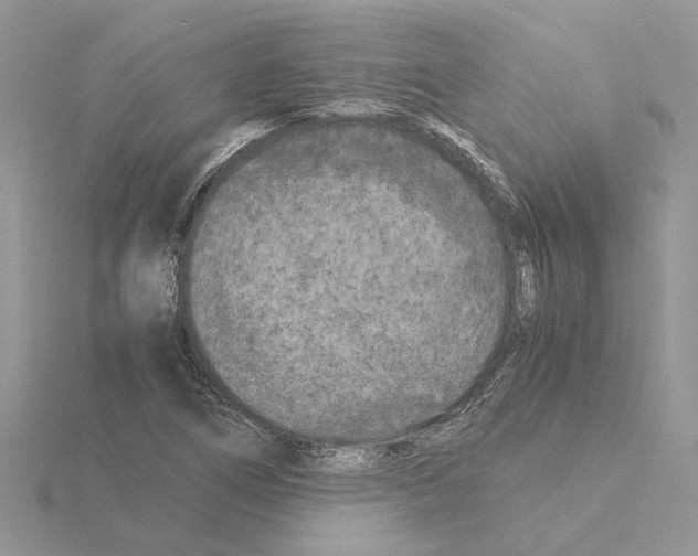 X0000115041266200912071102