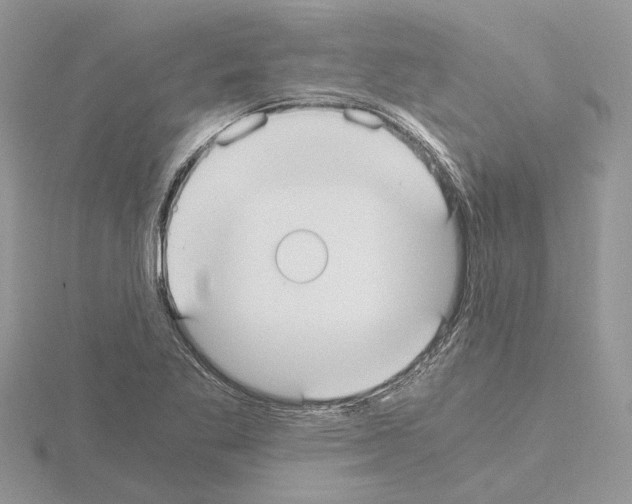 X0000115041269200912071102