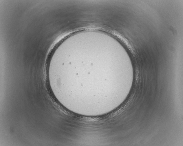 X0000115041270200912071102