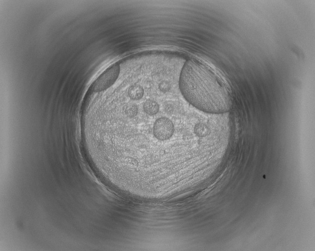 X0000115041274200912071101