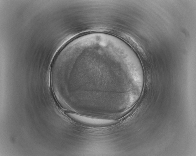 X0000115041276200912071101