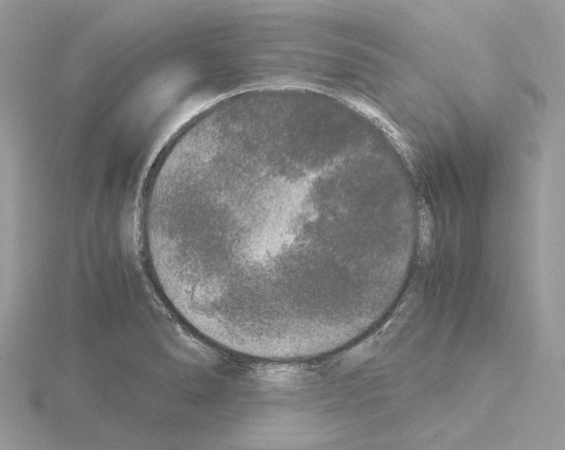 X0000115041278200912071101