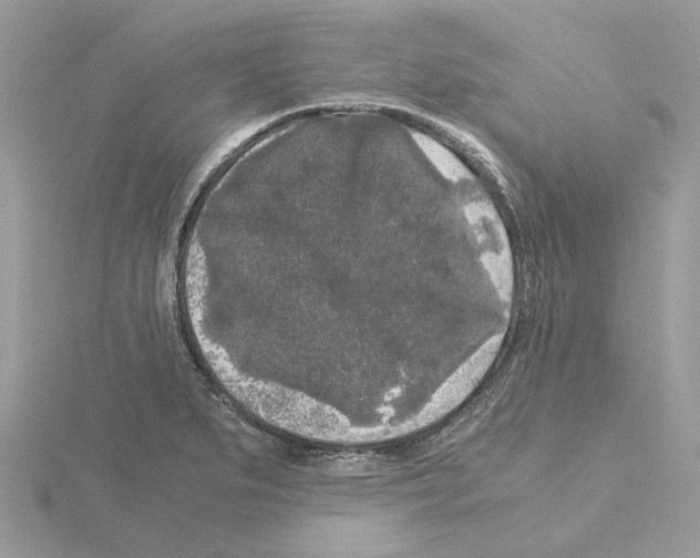 X0000115041279200912071101